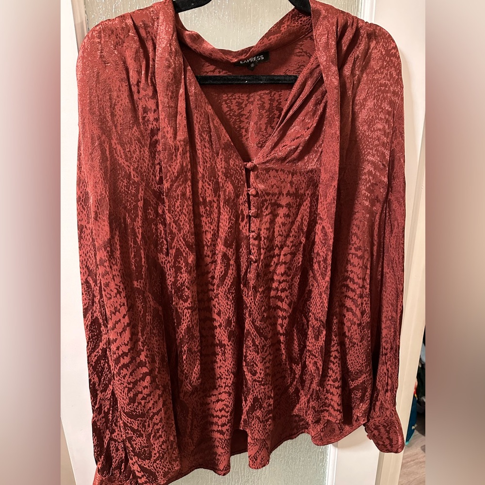 Express Brown Relaxed Blouse with V Neck Collar